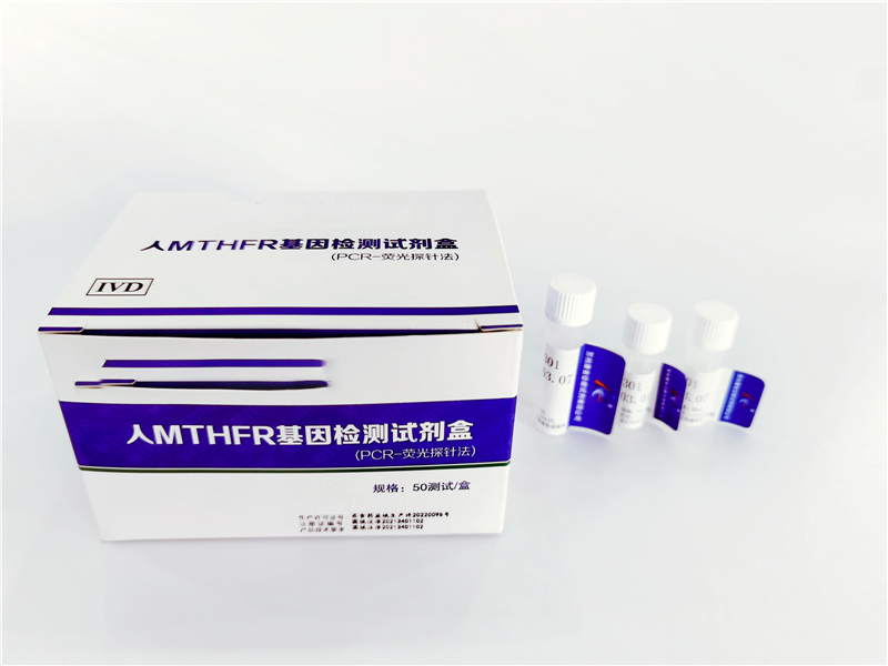 人CYP2C9（A1075C）、CYP2D6（C100T）、ADRB1（G1165C）、AGTR1(A1166C)、ACE（I/D）基因分型检测试剂盒（PCR-荧光探针法）