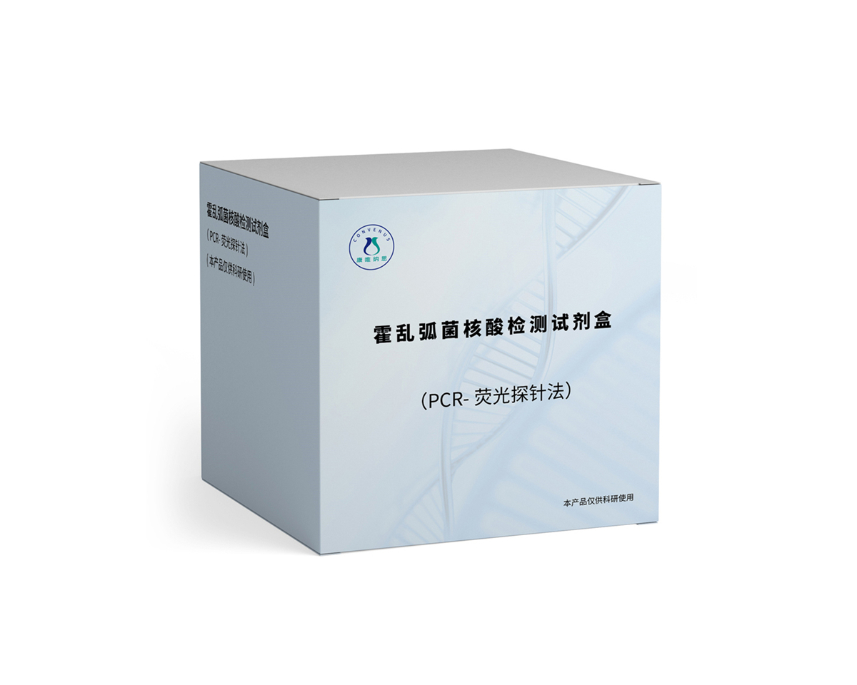 霍乱弧菌核酸检测试剂盒